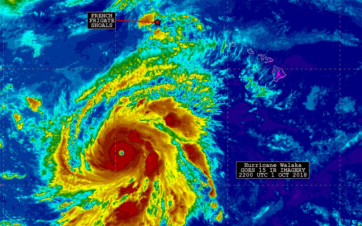 satellite image of hurricane walaka
